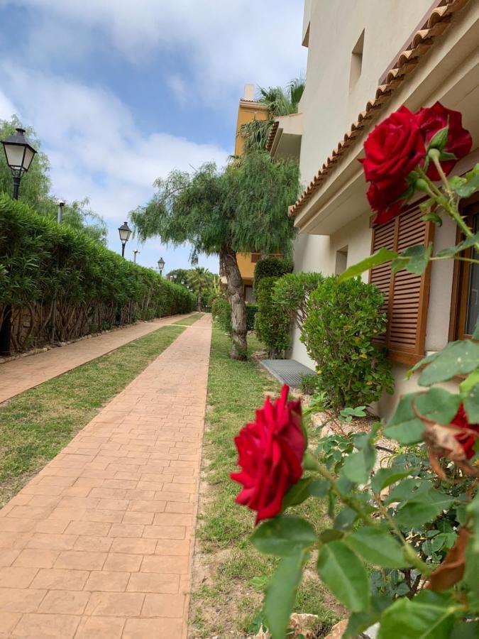 Ferienwohnung Torrevieja 200M From Sea Punta Prima Alicante Exterior foto