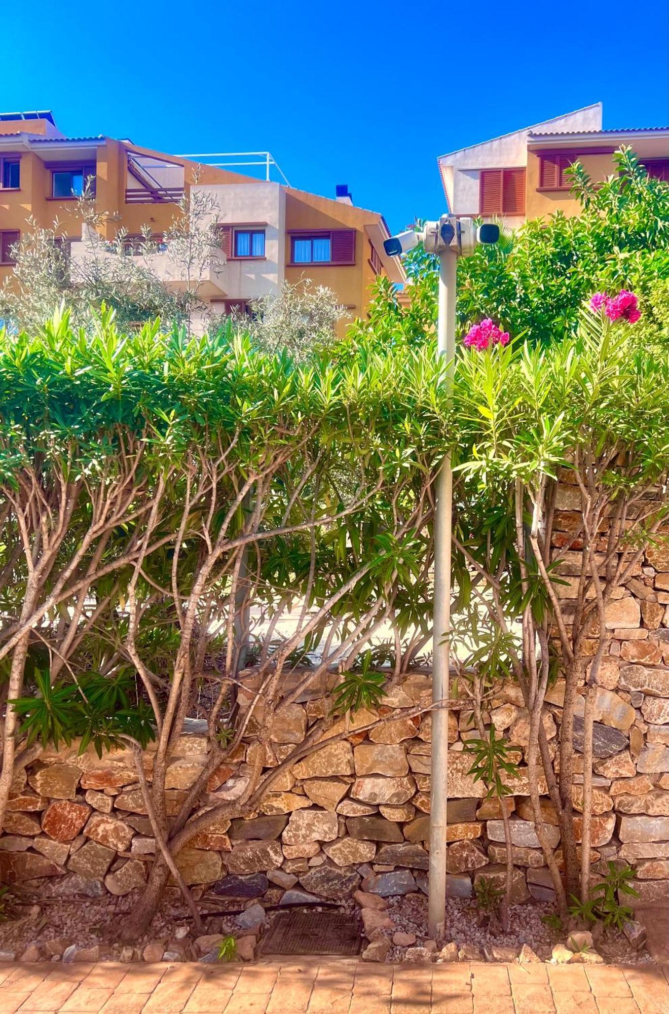 Ferienwohnung Torrevieja 200M From Sea Punta Prima Alicante Exterior foto